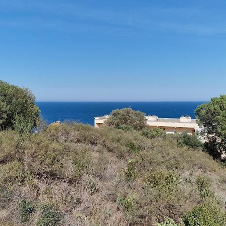 Appartement Avec Terrasse, Wifi, Parking Prive, A 2Min De La Plage Des Elmes - Banyuls-Sur-Mer - Fr-1-309-130 Exterior foto