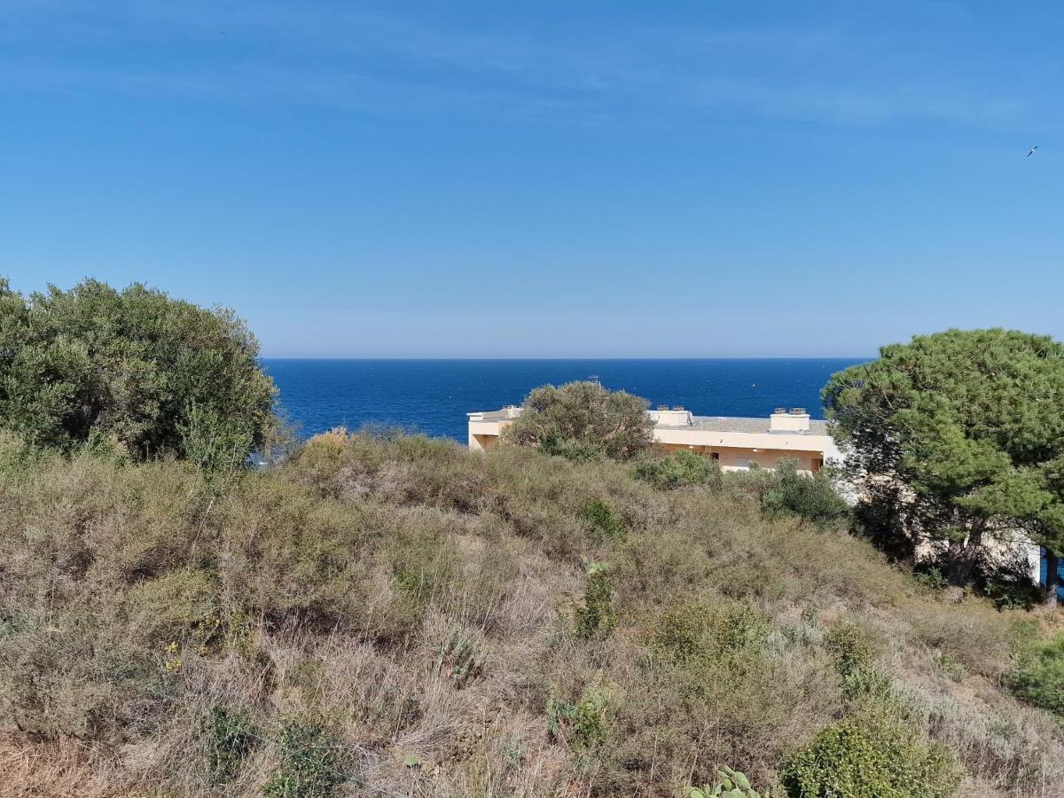 Appartement Avec Terrasse, Wifi, Parking Prive, A 2Min De La Plage Des Elmes - Banyuls-Sur-Mer - Fr-1-309-130 Exterior foto