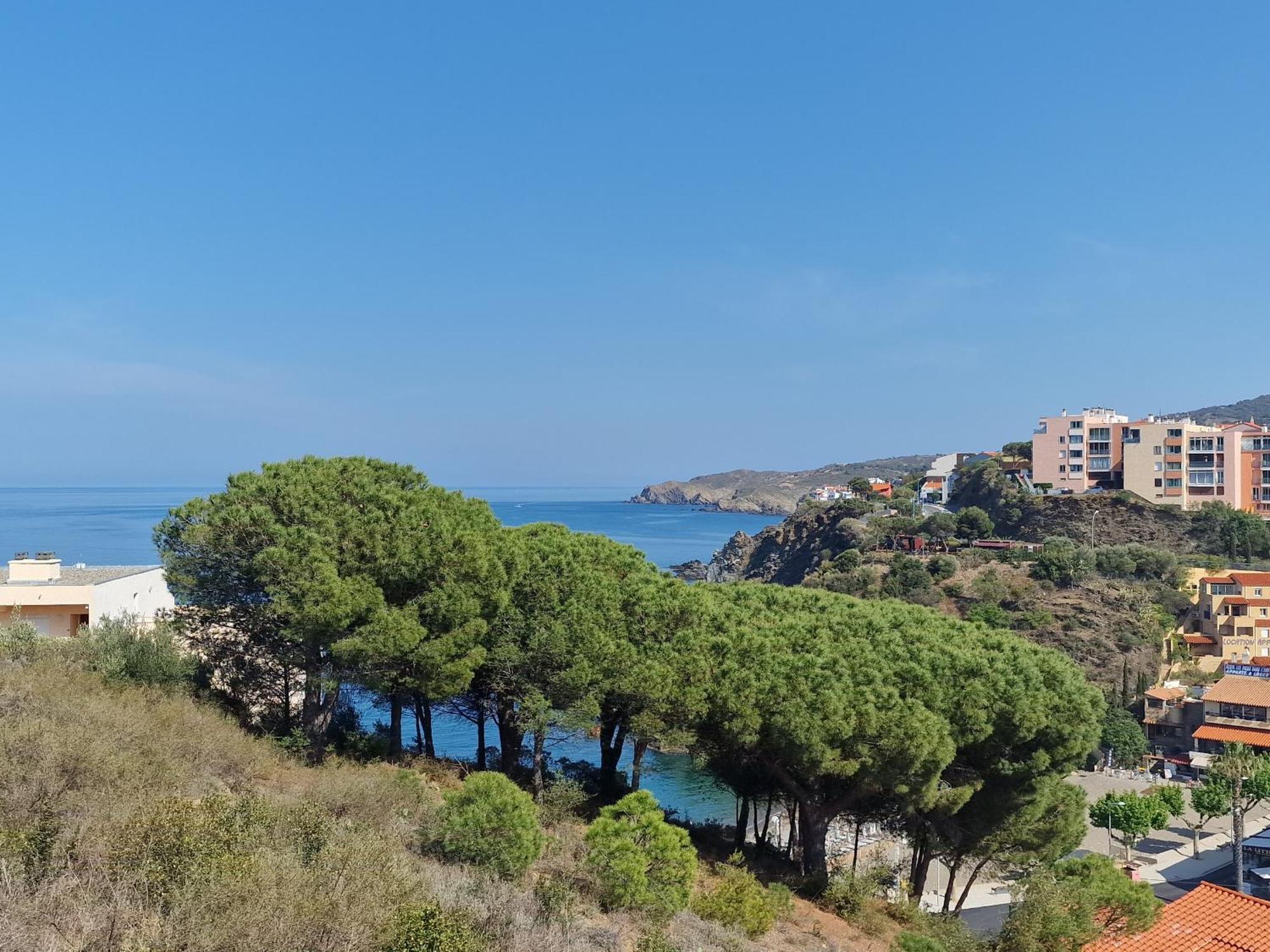 Appartement Avec Terrasse, Wifi, Parking Prive, A 2Min De La Plage Des Elmes - Banyuls-Sur-Mer - Fr-1-309-130 Exterior foto